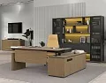 Кабинет руководителя Ион