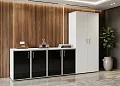 мебель для офиса Оникс