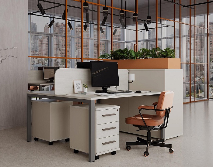 фото мебель Нью лайн Шамони					